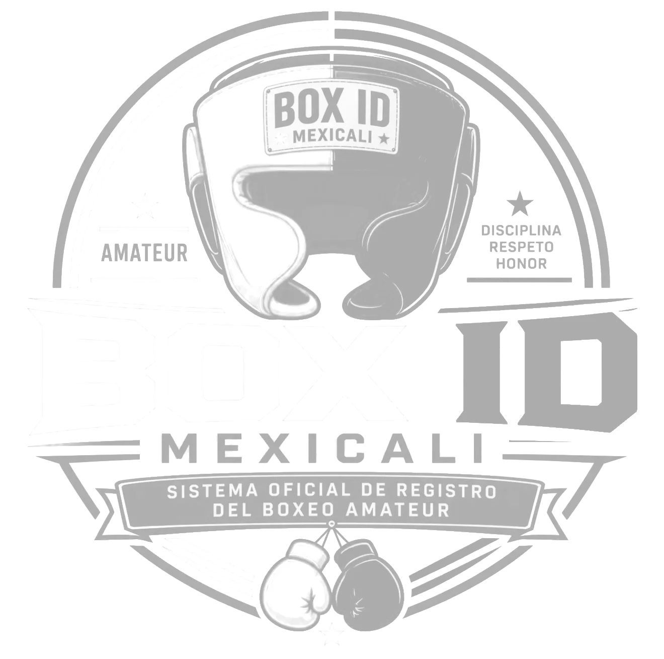 BOX ID MEXICALI
